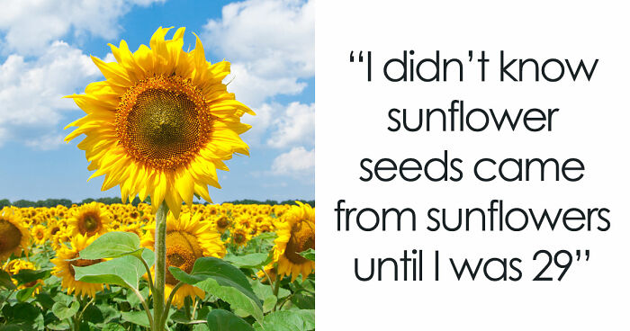 77 Hilariously Late Realizations That Should Have Been Obvious But Somehow Weren’t