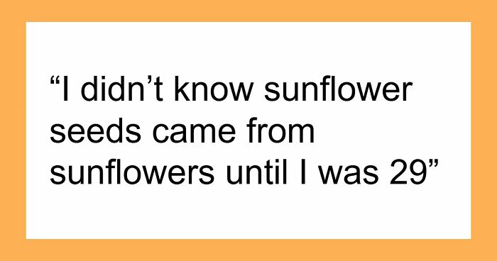 77 Hilariously Late Realizations That Should Have Been Obvious But Somehow Weren’t