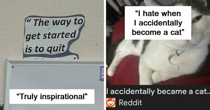 “Premature Truncation”: 60 Times Sentences Lost Their Meaning In The Funniest Way Possible
