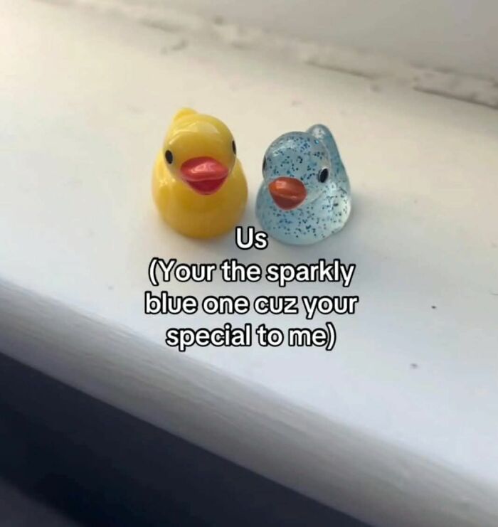Two duck figurines illustrating sparkle blue one being special in internet chaos meme