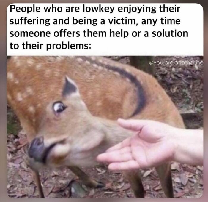 Meme about people lowkey enjoying suffering and rejecting help with startled deer image