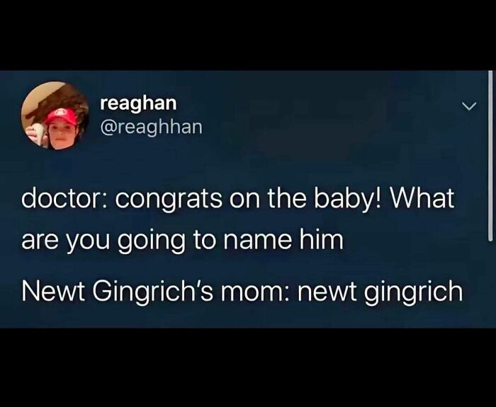 Funny Twitter post joking about naming a baby Newt Gingrich after the politician