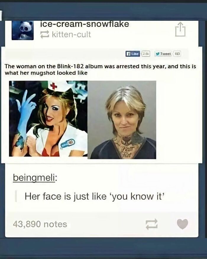 Side by side images showing woman from Blink-182 album and her mugshot with caption about internet chaos posts