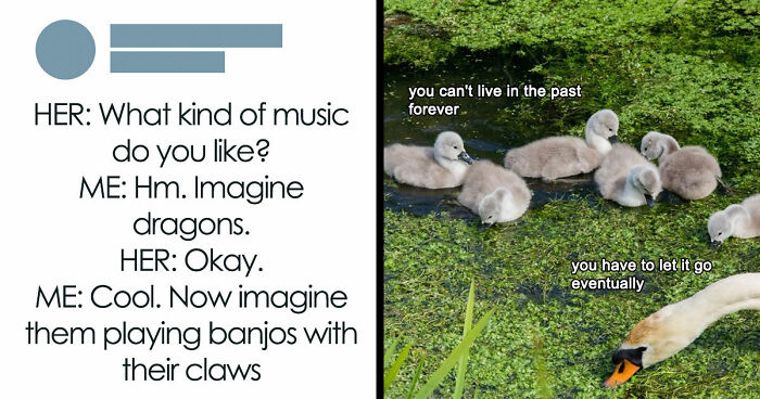 “Lowkey Wanna Tag My Ex”: 67 Unhinged Posts That Feel Like Pure Internet Chaos