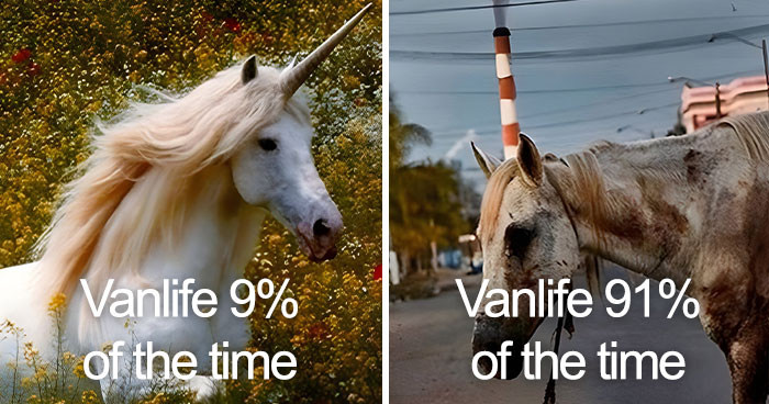 “Sparkling Homelessness”: 69 Memes That Perfectly Nail The Reality Of Living Out Of A Van