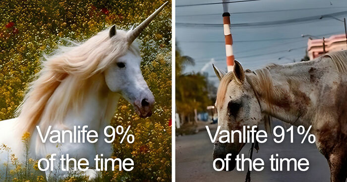 “Sparkling Homelessness”: 69 Memes That Perfectly Nail The Reality Of Living Out Of A Van
