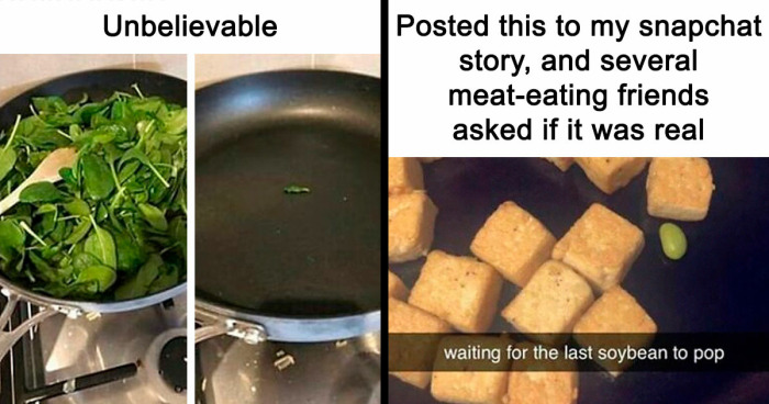 “I Hate Myself, Not The Animals”: 69 Funny Memes For Vegans Who Are Tired Of The Same Three Jokes