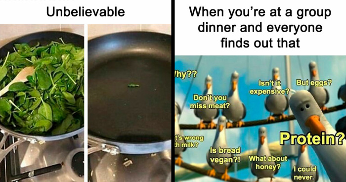 “I Hate Myself, Not The Animals”: 69 Funny Memes For Vegans Who Are Tired Of The Same Three Jokes