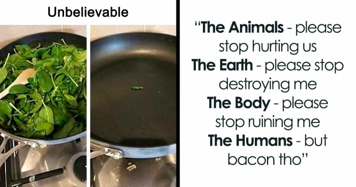 “I Hate Myself, Not The Animals”: 69 Funny Memes For Vegans Who Are Tired Of The Same Three Jokes