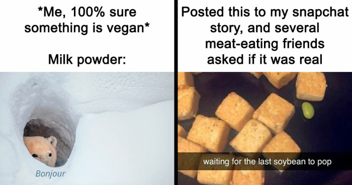 69 Hilarious Memes For Vegans Who Are Tired Of Explaining Their Choices