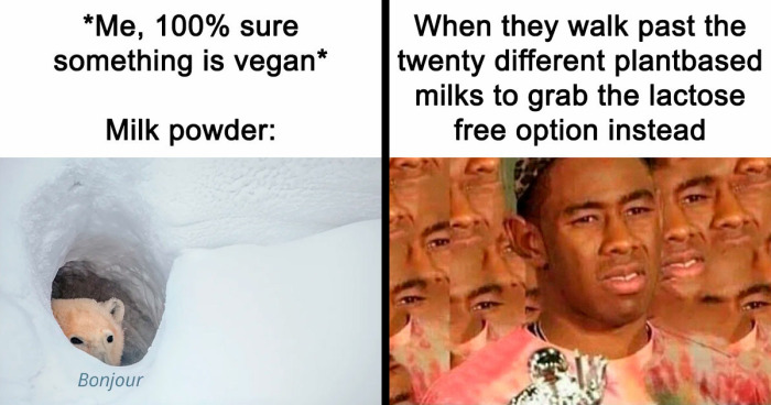 69 Hilarious Memes For Vegans Who Are Tired Of Explaining Their Choices