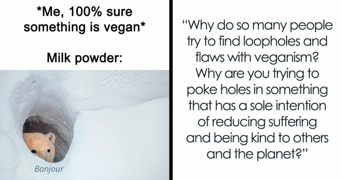 69 Hilarious Memes For Vegans Who Are Tired Of Explaining Their Choices