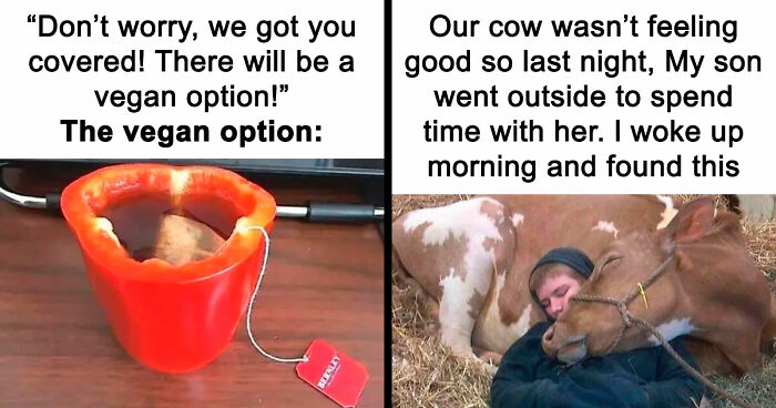 “I Hate Myself, Not The Animals”: 69 Funny Memes For Vegans Who Are Tired Of The Same Three Jokes