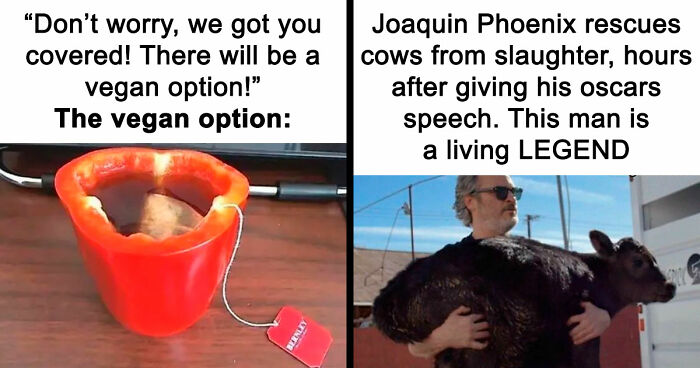 “I Hate Myself, Not The Animals”: 69 Funny Memes For Vegans Who Are Tired Of The Same Three Jokes