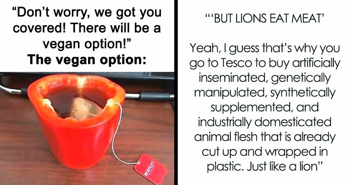 “I Hate Myself, Not The Animals”: 69 Funny Memes For Vegans Who Are Tired Of The Same Three Jokes