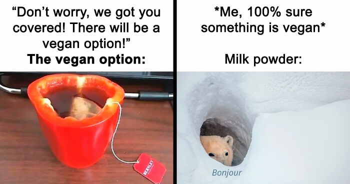 “I Hate Myself, Not The Animals”: 69 Funny Memes For Vegans Who Are Tired Of The Same Three Jokes