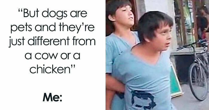 “I Hate Myself, Not The Animals”: 69 Funny Memes For Vegans Who Are Tired Of The Same Three Jokes