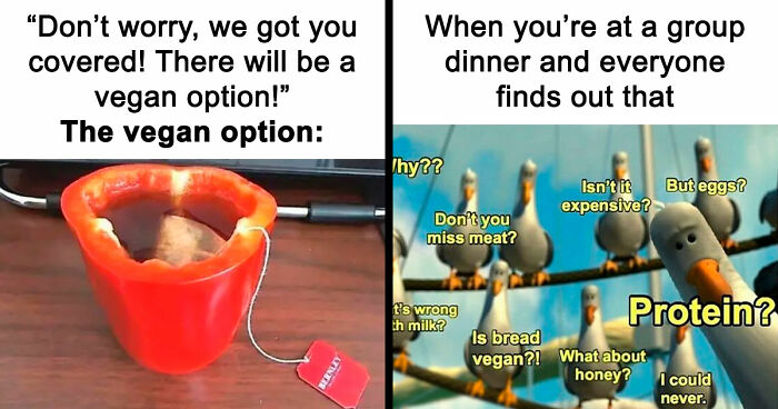 “I Hate Myself, Not The Animals”: 69 Funny Memes For Vegans Who Are Tired Of The Same Three Jokes