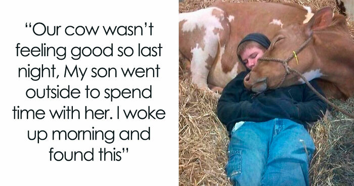 “I Hate Myself, Not The Animals”: 69 Funny Memes For Vegans Who Are Tired Of The Same Three Jokes