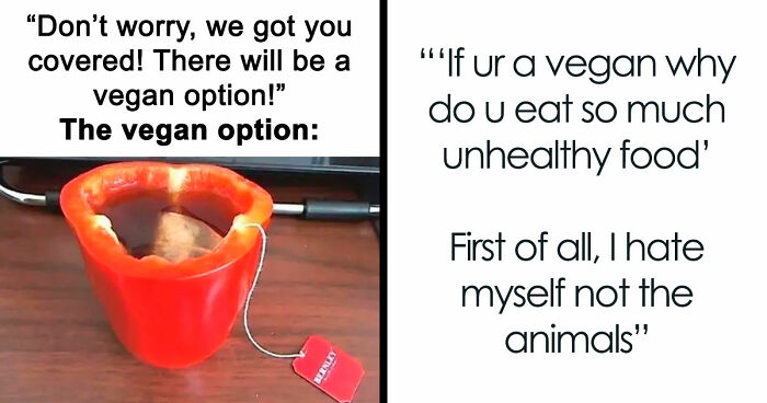 “I Hate Myself, Not The Animals”: 69 Funny Memes For Vegans Who Are Tired Of The Same Three Jokes