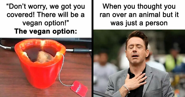 “I Hate Myself, Not The Animals”: 69 Funny Memes For Vegans Who Are Tired Of The Same Three Jokes
