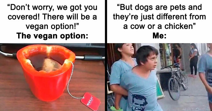“I Hate Myself, Not The Animals”: 69 Funny Memes For Vegans Who Are Tired Of The Same Three Jokes