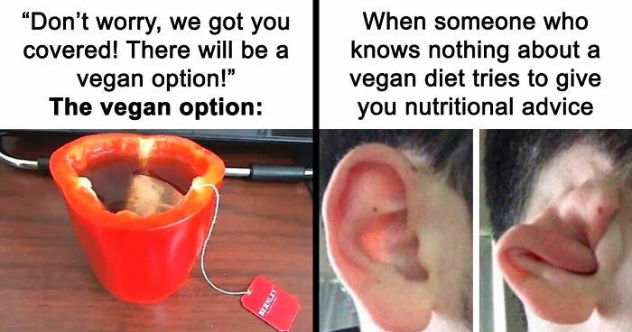 “I Hate Myself, Not The Animals”: 69 Funny Memes For Vegans Who Are Tired Of The Same Three Jokes