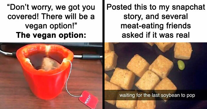 “I Hate Myself, Not The Animals”: 69 Funny Memes For Vegans Who Are Tired Of The Same Three Jokes