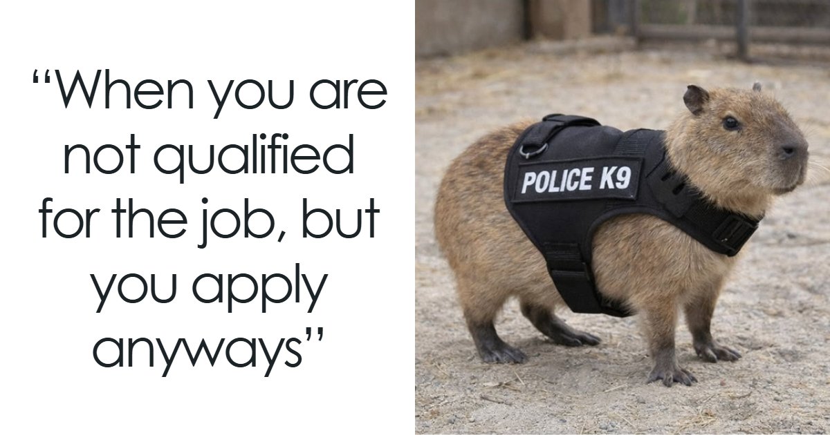 This Page Is Dedicated To Capybaras, And These 39 Memes Show Exactly Why The Internet Loves Them