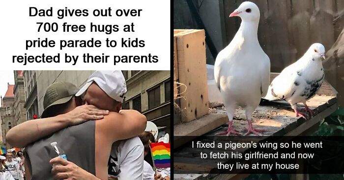 If The World Seems Like A Sad Place Now, These 91 Posts And Memes May Bring Some Positivity Back