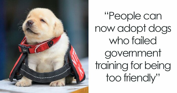 If The World Seems Like A Sad Place Now, These 91 Posts And Memes May Bring Some Positivity Back