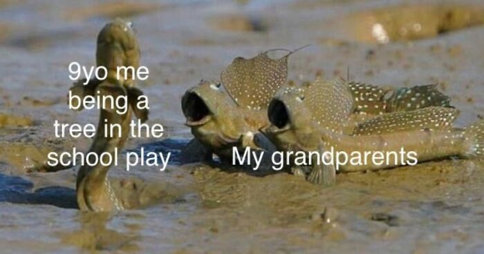 If The World Seems Like A Sad Place Now, These 91 Posts And Memes May Bring Some Positivity Back