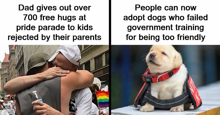 If The World Seems Like A Sad Place Now, These 91 Posts And Memes May Bring Some Positivity Back