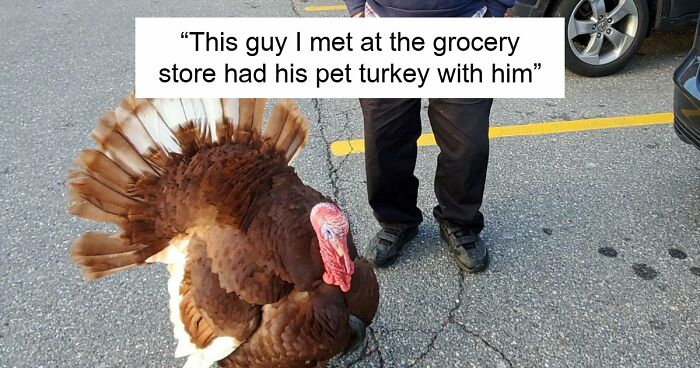 51 Wild Times People Just Had To Take A Pic At The Supermarket Or Else Nobody Would Believe Them