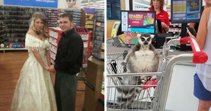 51 Wild Times People Just Had To Take A Pic At The Supermarket Or Else Nobody Would Believe Them