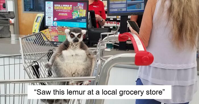 51 Wild Times People Just Had To Take A Pic At The Supermarket Or Else Nobody Would Believe Them