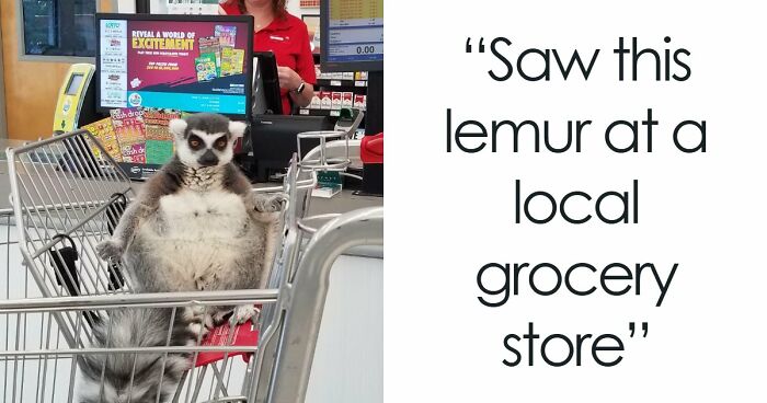 51 Wild Times People Just Had To Take A Pic At The Supermarket Or Else Nobody Would Believe Them