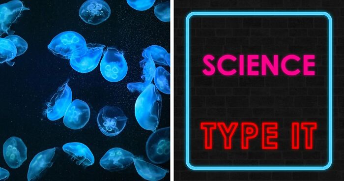 We Prepared 29 General Science Questions – Anything Above 25 Is An Excellent Score