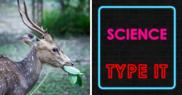 We Prepared 29 General Science Questions – Anything Above 25 Is An Excellent Score