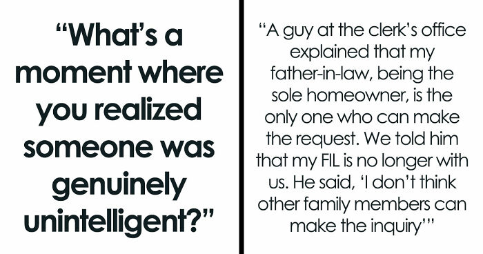 43 Wild Encounters With People Who Thought Confidence Could Replace Intelligence