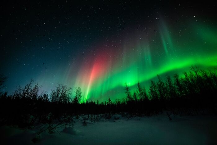 Aurora borealis lighting winter sky during January 6 event