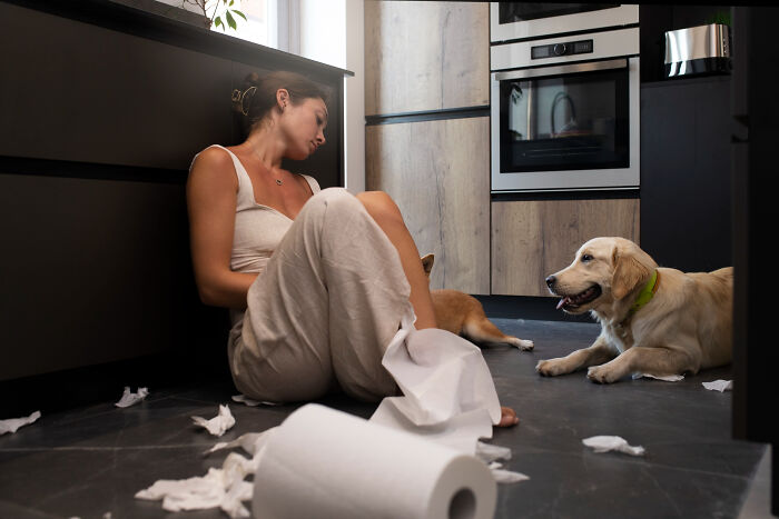 Dog and scattered paper roll causing kitchen disaster