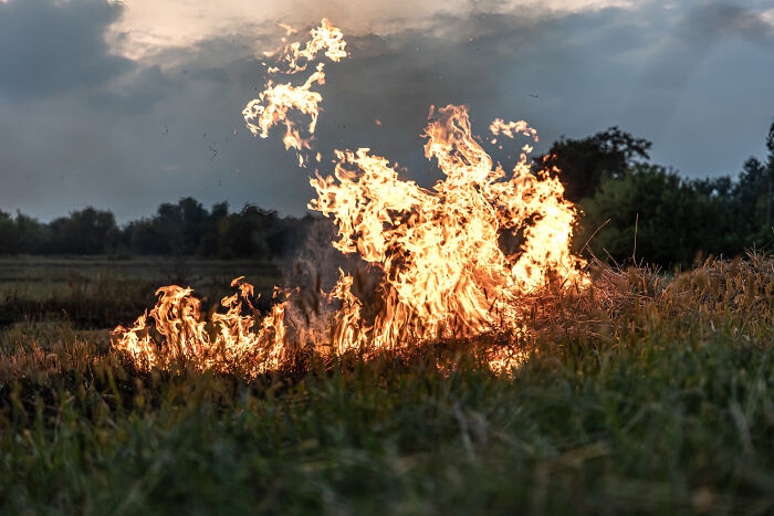 Fire blazing unexpectedly in an outdoor field disaster