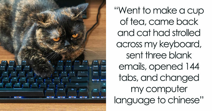 45 Unexpected Disasters That Happened When Someone Left The Room For A Few Minutes