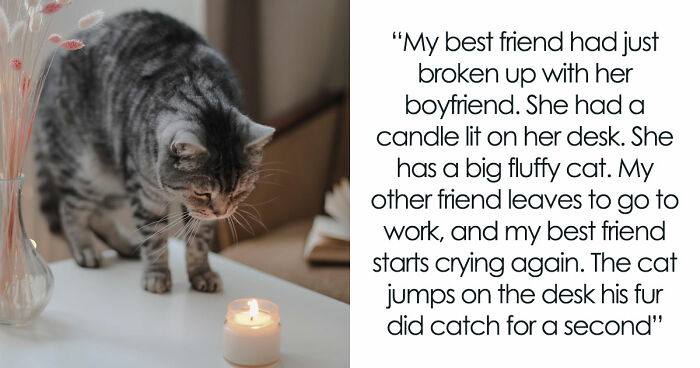 45 Unexpected Disasters That Happened When Someone Left The Room For A Few Minutes
