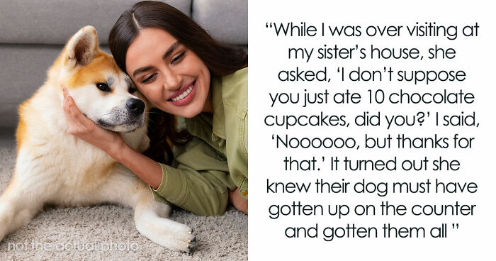 45 Unexpected Disasters That Happened When Someone Left The Room For A Few Minutes