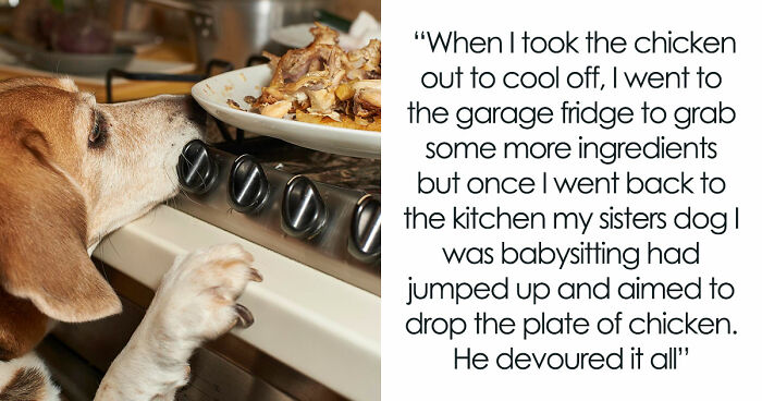45 Unexpected Disasters That Happened When Someone Left The Room For A Few Minutes