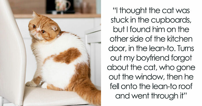 45 Unexpected Disasters That Happened When Someone Left The Room For A Few Minutes