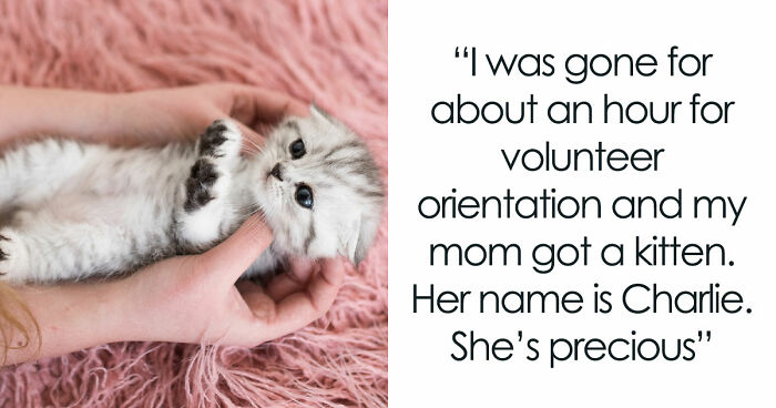 45 Unexpected Disasters That Happened When Someone Left The Room For A Few Minutes