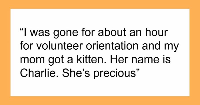 45 Unexpected Disasters That Happened When Someone Left The Room For A Few Minutes